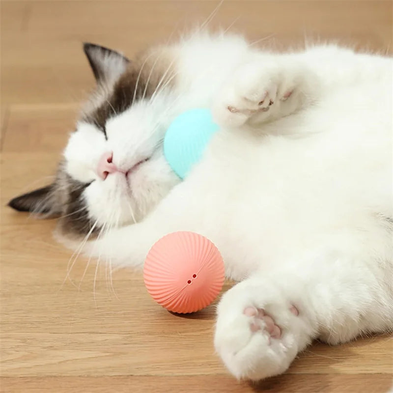 BounceBuddy Smart Pet Ball – Interactive Fun for Puppies & Kittens