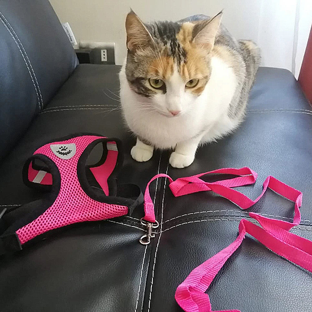 AirFlex Mesh Pet Harness – Adjustable, Reflective & Breathable