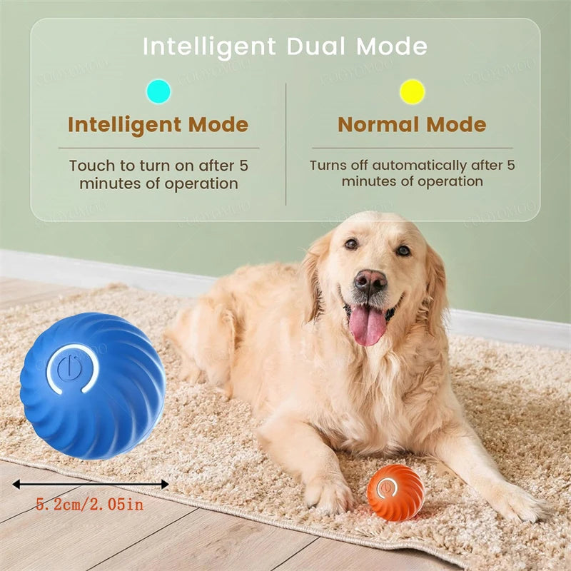 BounceBuddy Smart Pet Ball – Interactive Fun for Puppies & Kittens