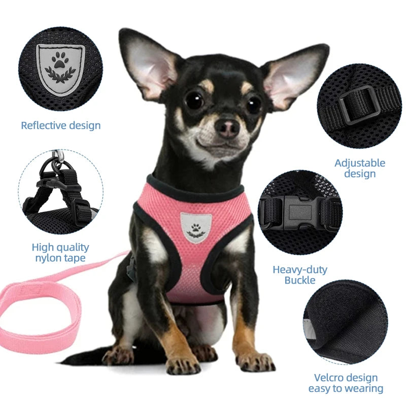 AirFlex Mesh Pet Harness – Adjustable, Reflective & Breathable