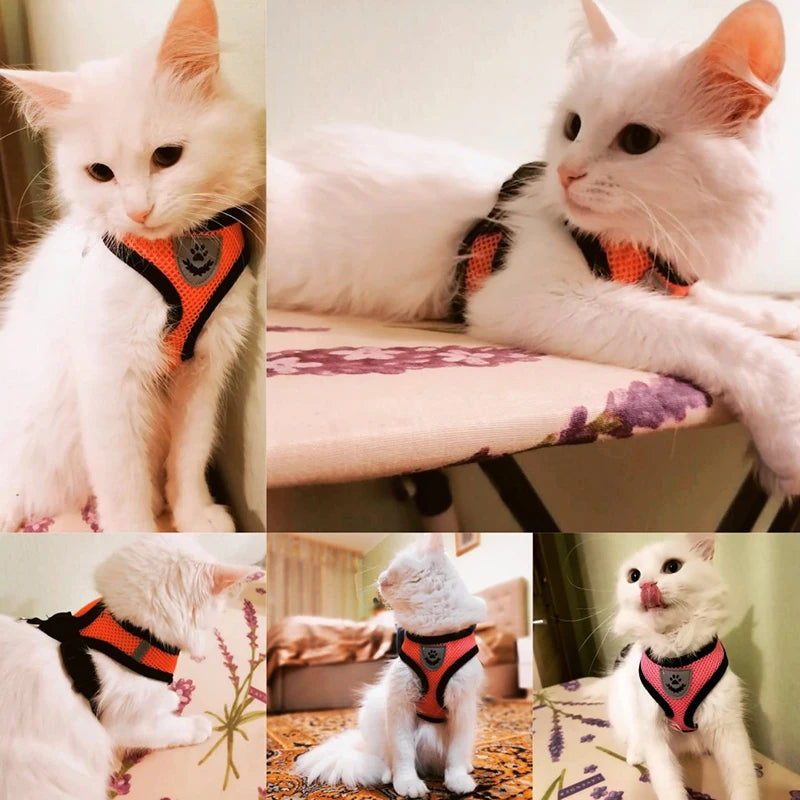 AirFlex Mesh Pet Harness – Adjustable, Reflective & Breathable