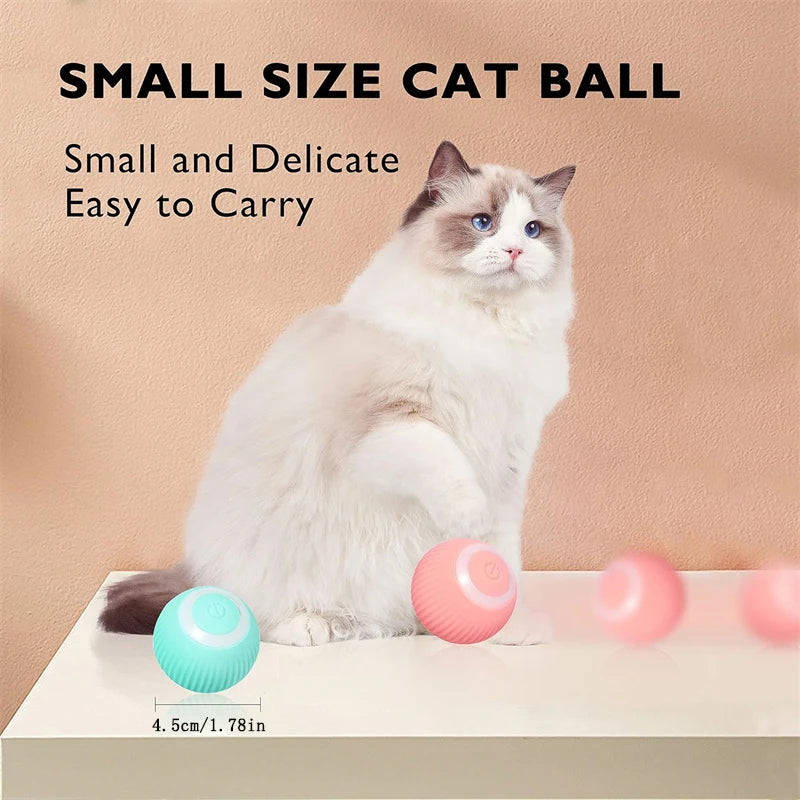 BounceBuddy Smart Pet Ball – Interactive Fun for Puppies & Kittens