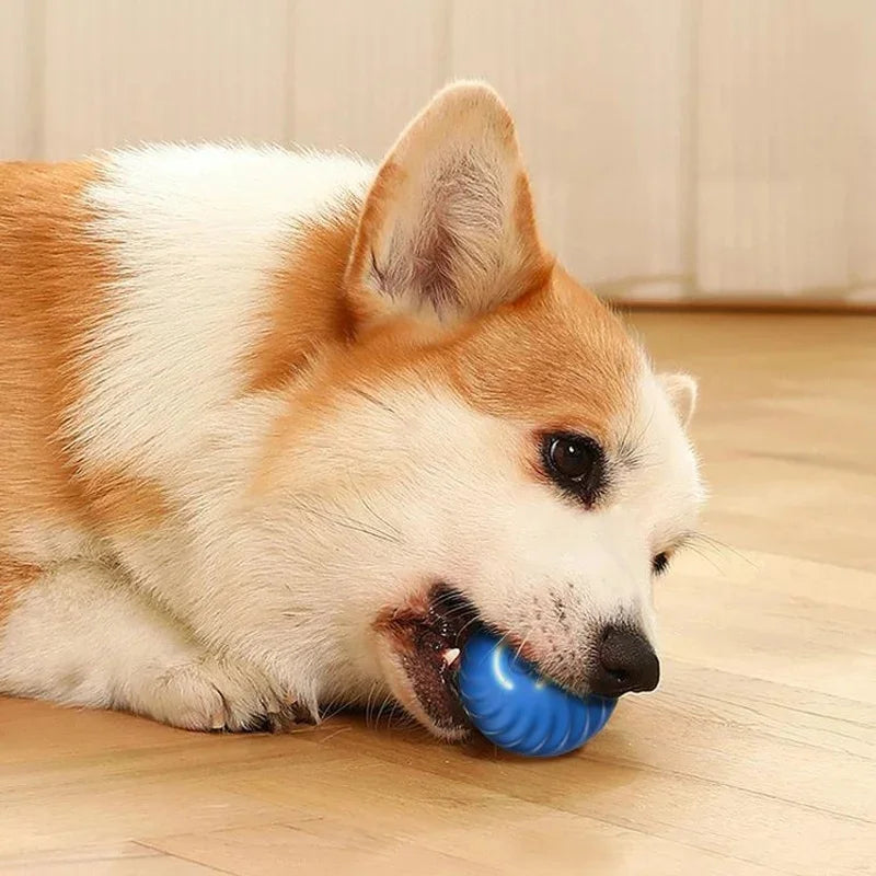 BounceBuddy Smart Pet Ball – Interactive Fun for Puppies & Kittens