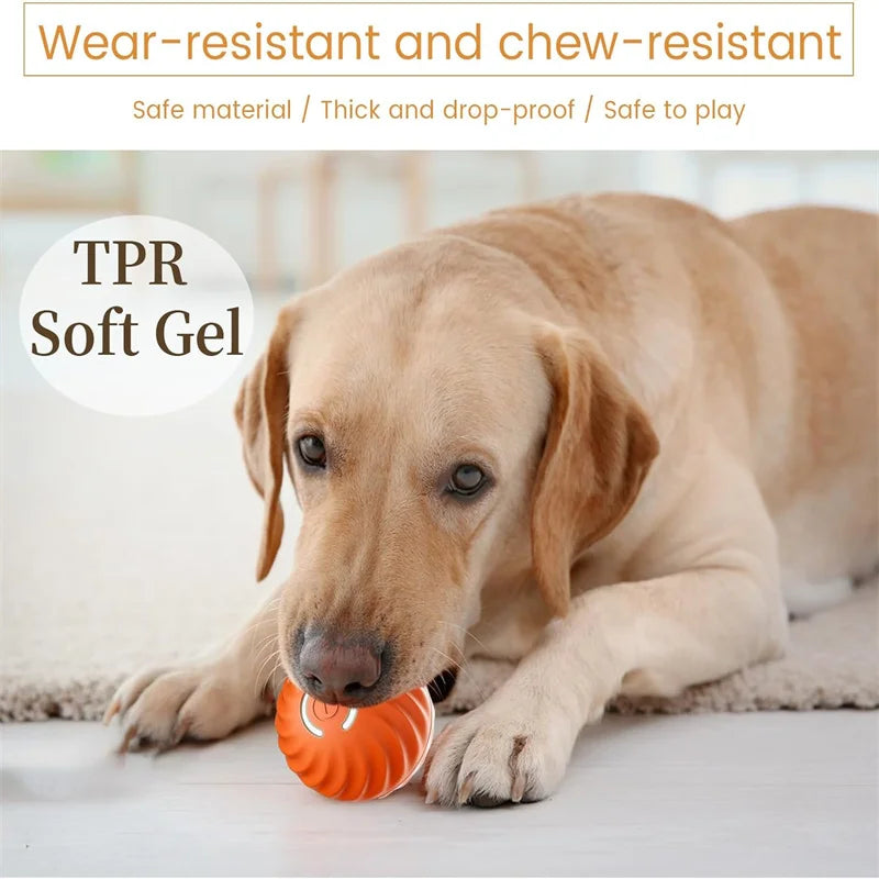 BounceBuddy Smart Pet Ball – Interactive Fun for Puppies & Kittens