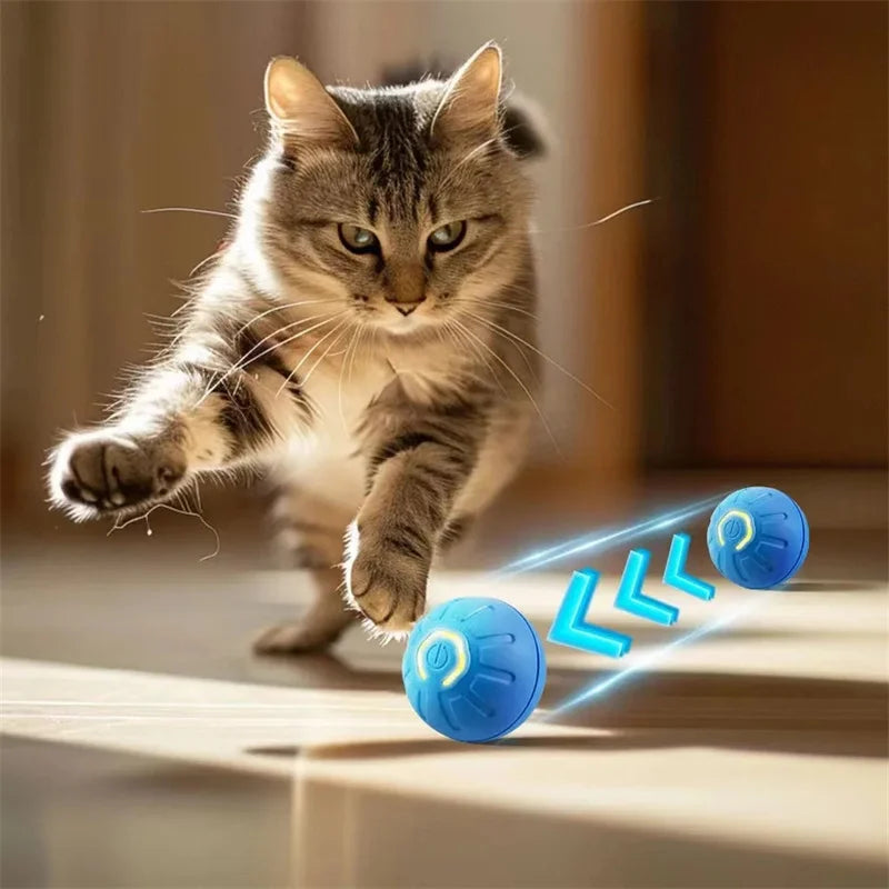 BounceBuddy Smart Pet Ball – Interactive Fun for Puppies & Kittens