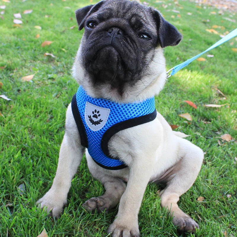 AirFlex Mesh Pet Harness – Adjustable, Reflective & Breathable