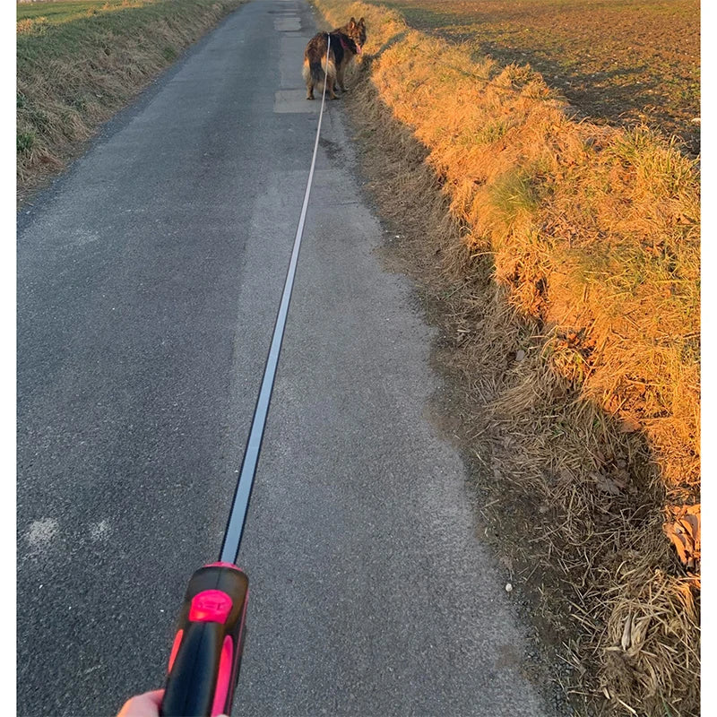 Dog Leash