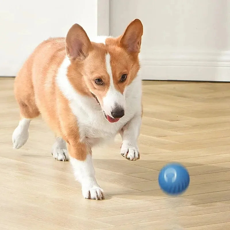 BounceBuddy Smart Pet Ball – Interactive Fun for Puppies & Kittens
