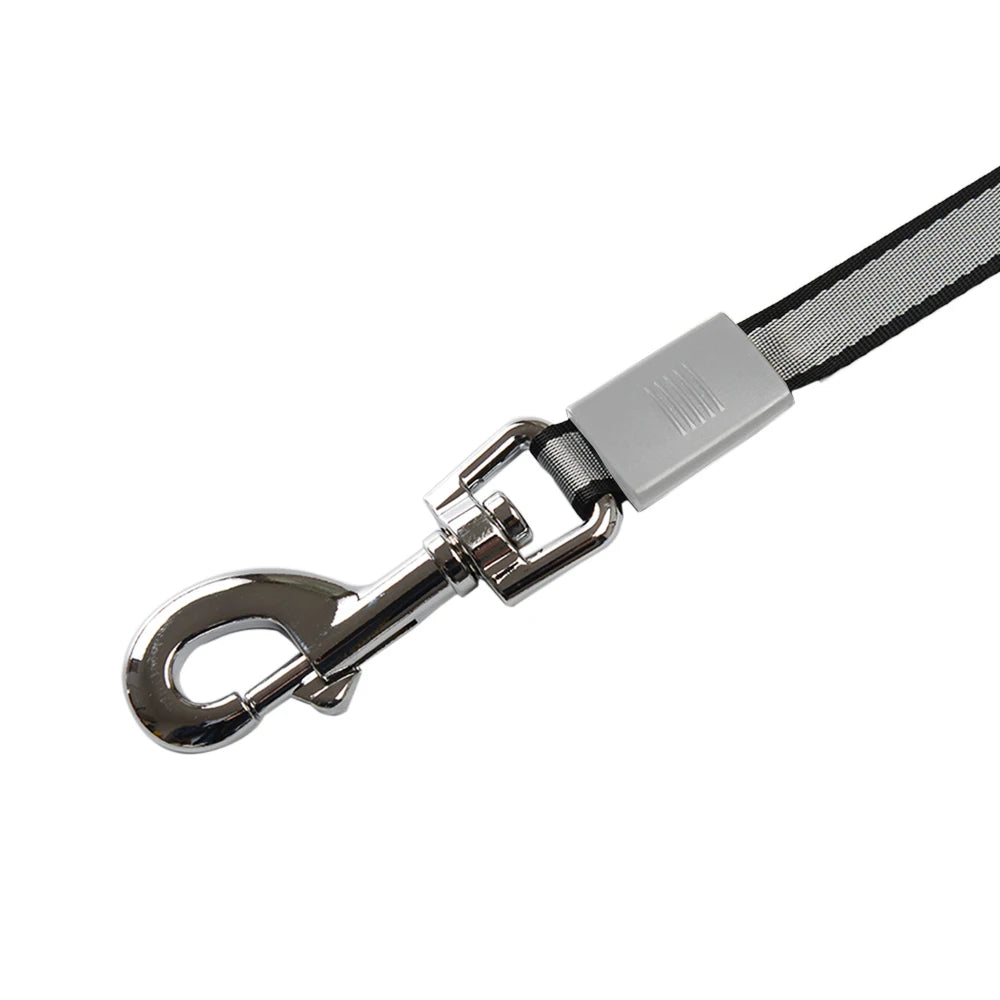 Dog Leash