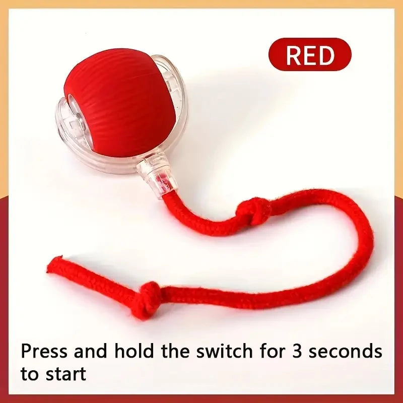 BounceBuddy Smart Pet Ball – Interactive Fun for Puppies & Kittens