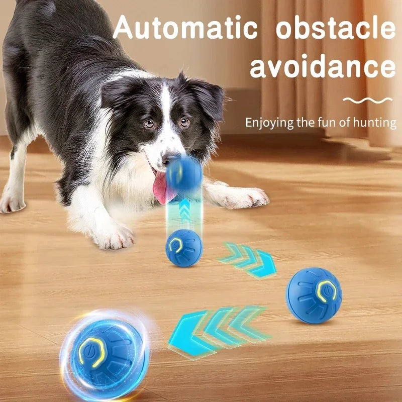 BounceBuddy Smart Pet Ball – Interactive Fun for Puppies & Kittens