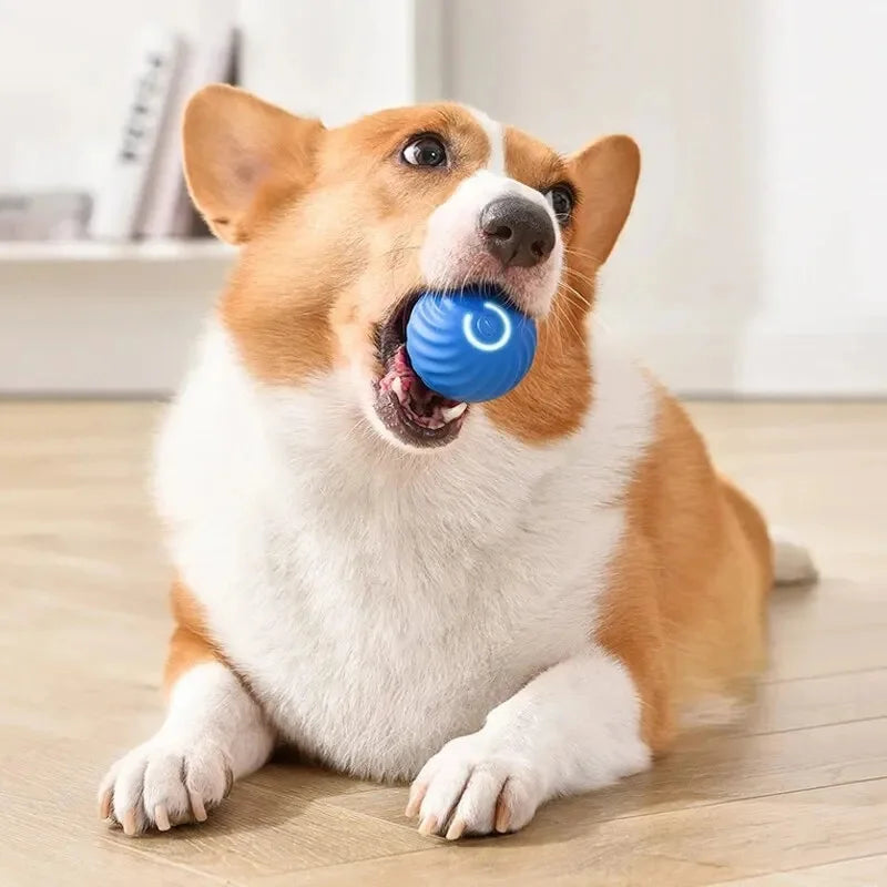 BounceBuddy Smart Pet Ball – Interactive Fun for Puppies & Kittens