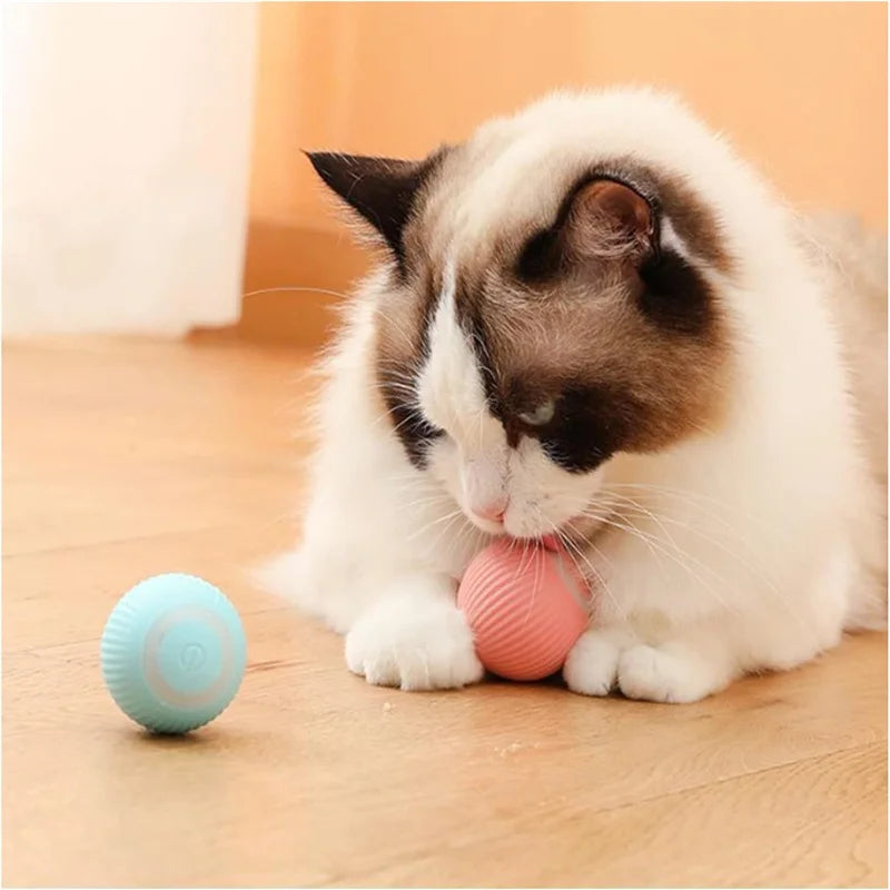 BounceBuddy Smart Pet Ball – Interactive Fun for Puppies & Kittens