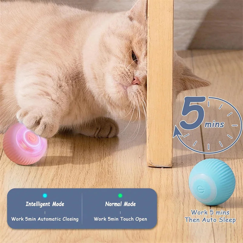 BounceBuddy Smart Pet Ball – Interactive Fun for Puppies & Kittens