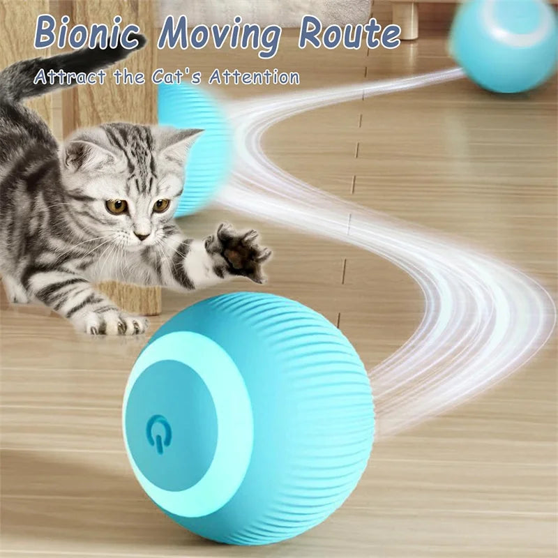 BounceBuddy Smart Pet Ball – Interactive Fun for Puppies & Kittens