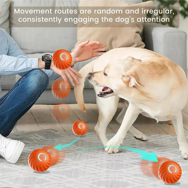 BounceBuddy Smart Pet Ball – Interactive Fun for Puppies & Kittens