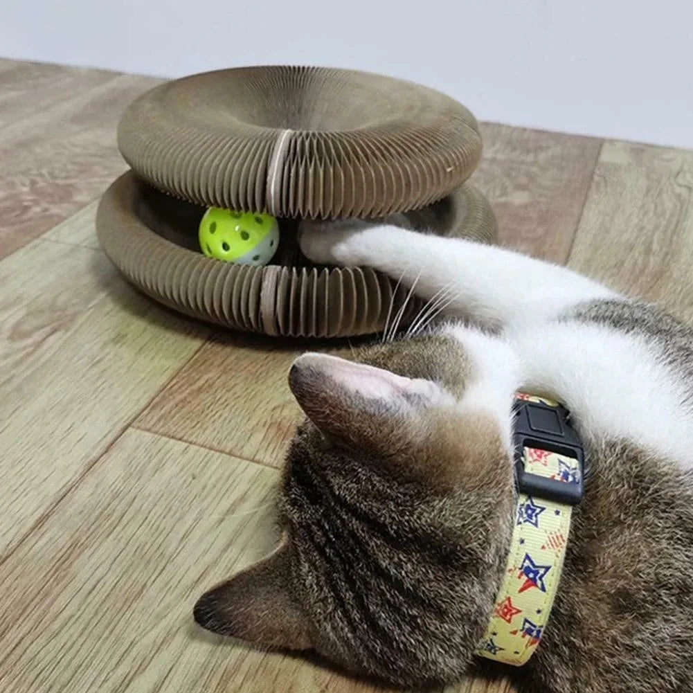 NaturalWood Cat Toy Ball – Simple Fun, Pure Play