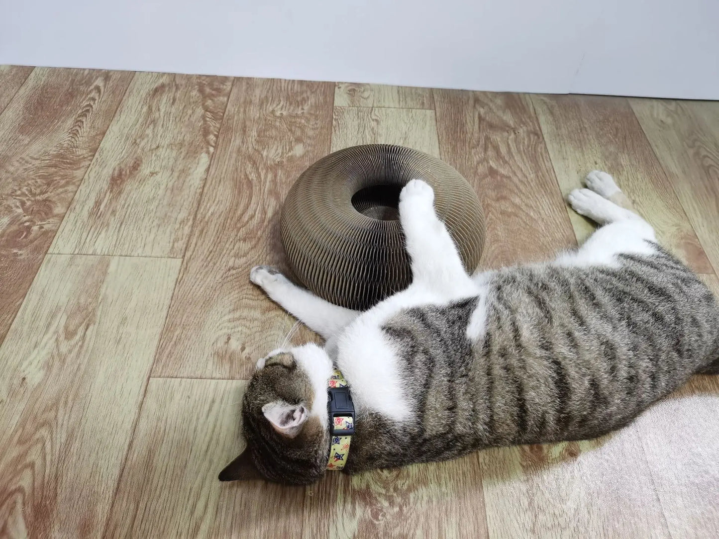 NaturalWood Cat Toy Ball – Simple Fun, Pure Play